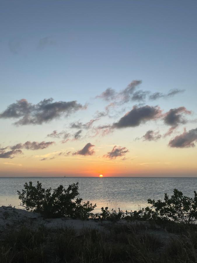 The Coral Casa Villa Caye Caulker Eksteriør bilde